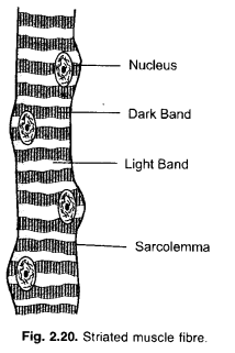 ncert-solutions-for-class-9-science-chapter-6-10